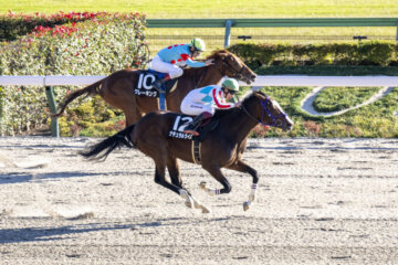 Natural Rise holds off Clay King in the Cattleya S. at Tokyo