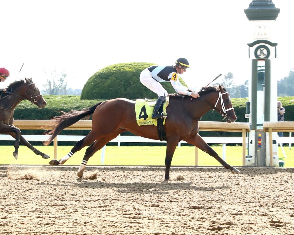 Expert Pick of the Week 2025 Stakes News Kentucky Derby