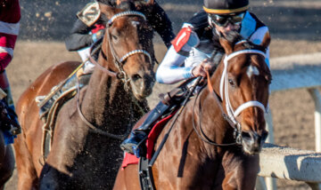 Built wins the 2024 Gun Runner Stakes at Fair Grounds on the Road to Kentucky Derby 151.