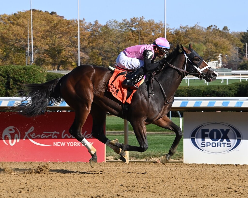 Chris's Revenge wins at Belmont at the Big A.