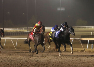 Coal Battle descends upon Speed King in the Springboard Mile