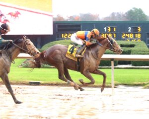 Curvino wins at Oaklawn Park.