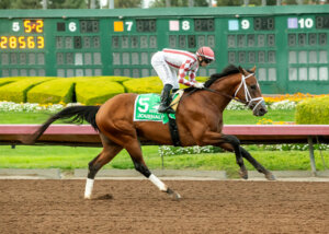 Journalism bounds clear in the Los Alamitos Futurity