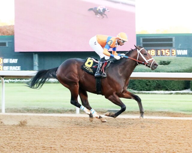 Kale's Angel wins the Advent S. at Oaklawn Park.