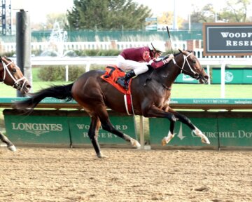 Magnitude wins at Churchill Downs.