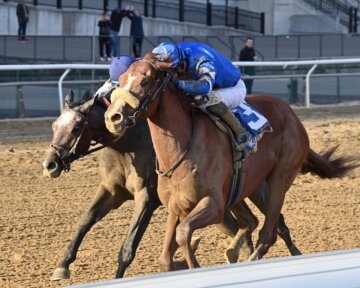 Poster wins the Remsen S. at Aqueduct.