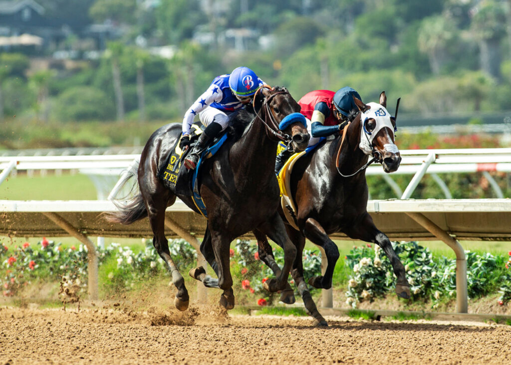 Tenma edges Vodka with a Twist in the Del Mar Debutante