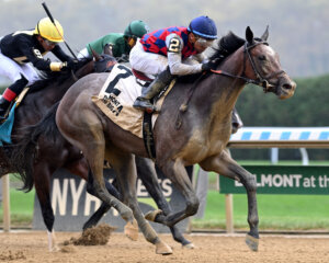 Aviator Gui wins at Belmont at the Big A. 