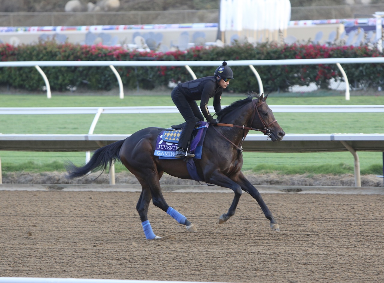 Gaming on track in preparation for Breeders Cup Juvenile at Del Mar.