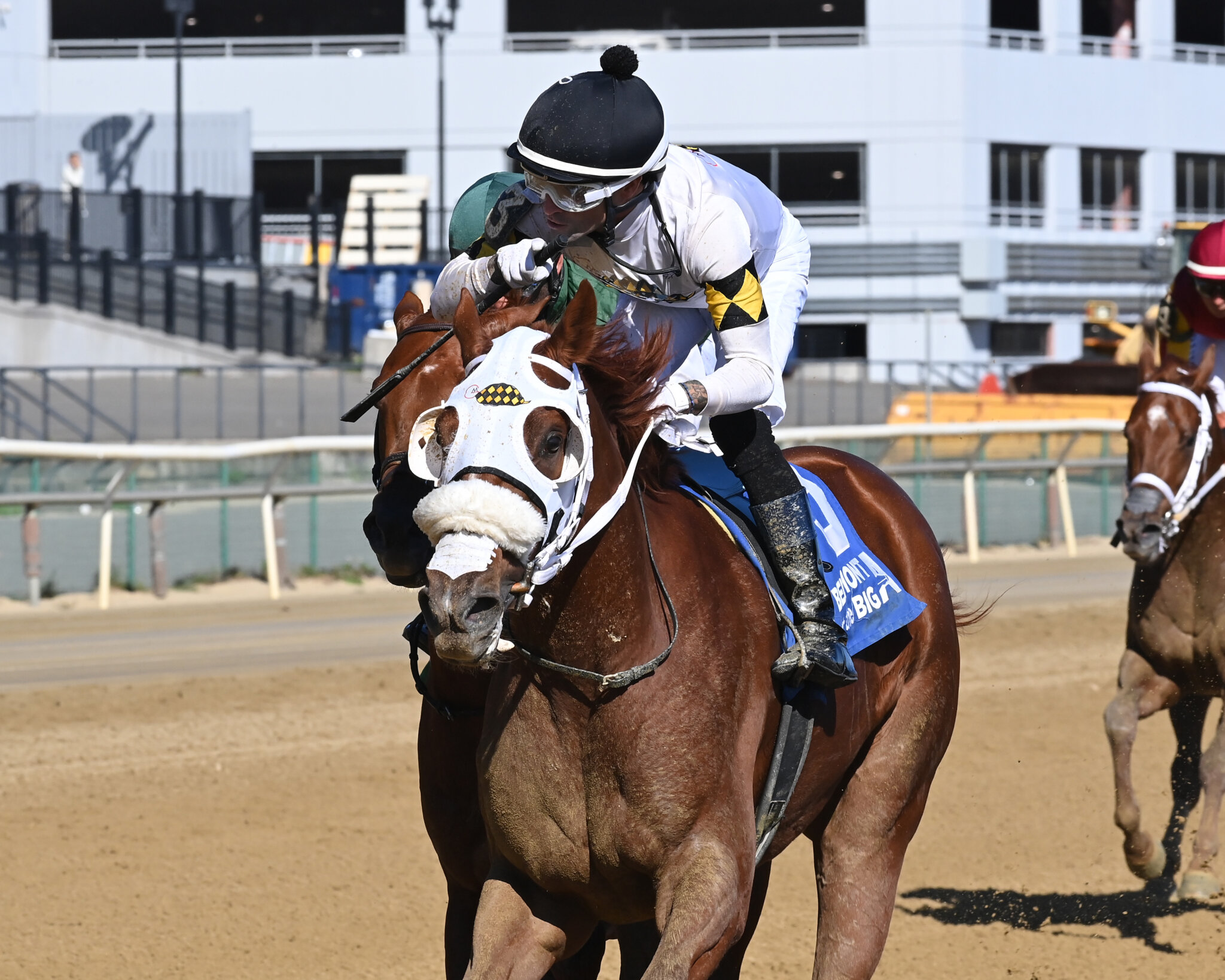 Study Guide 2025 Jerome Stakes News Kentucky Derby