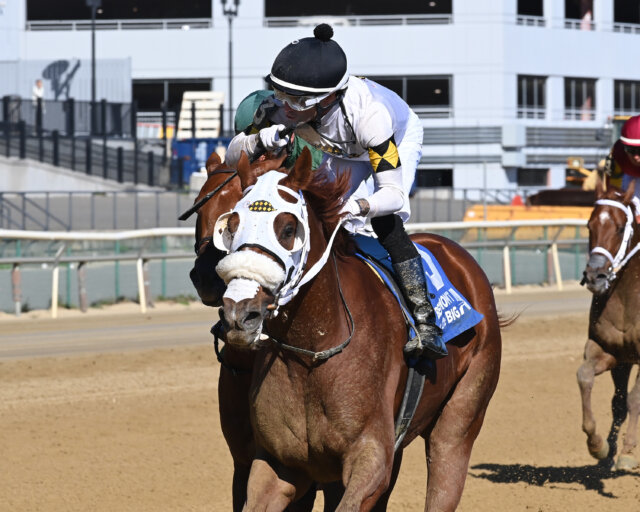 Studlydoright wins the Nashua S. at Aqueduct.