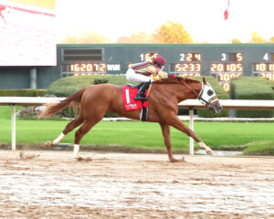 American Promise wins at Oaklawn Park.