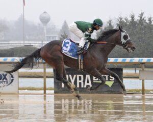 Captain Cook wins at Aqueduct.