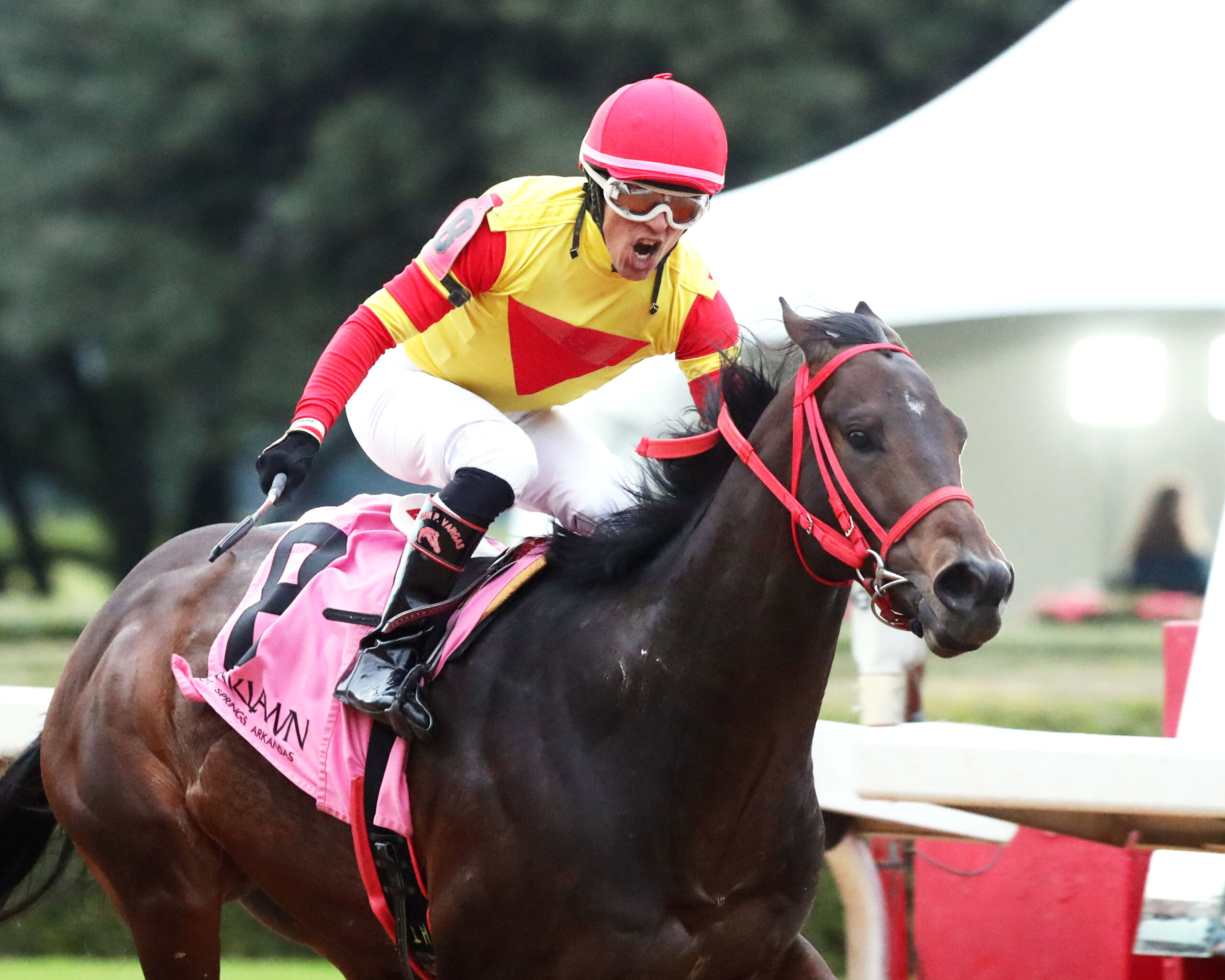 Coal Battle wins the Smarty Jones at Oaklawn Park.