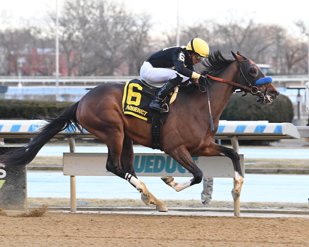 Cyclone State wins the Jerome S. at Aqueduct.