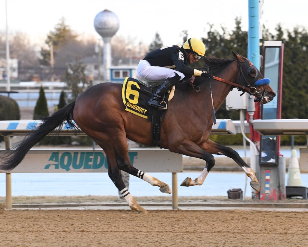 Cyclone State wins the Jerome S. at Aqueduct.