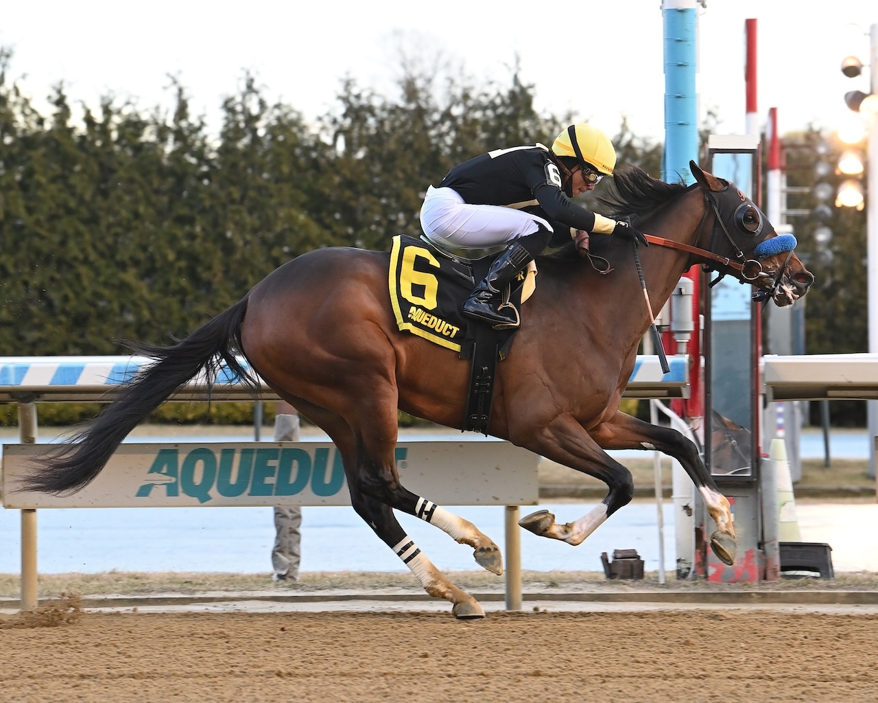 Cyclone State wins the Jerome S. at Aqueduct.