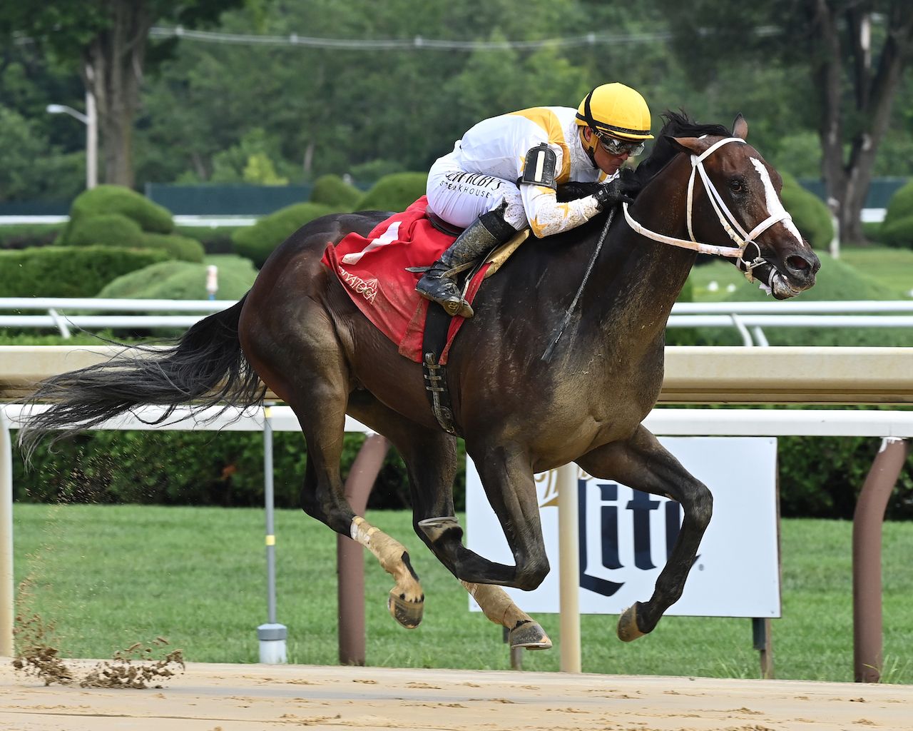 Ferocious breaking his maiden at Saratoga