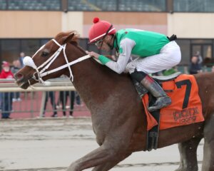 Global Steve wins the Parx Future Stars at Parx Racing. 