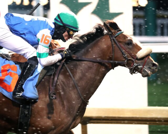 Monet's Magic wins at Churchill Downs.