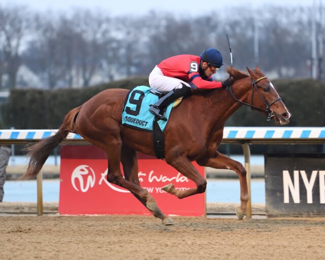 Running Away wins the Busanda at Aqueduct.