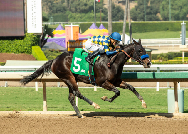 Silent Law won the Anoakia S. at Santa Anita