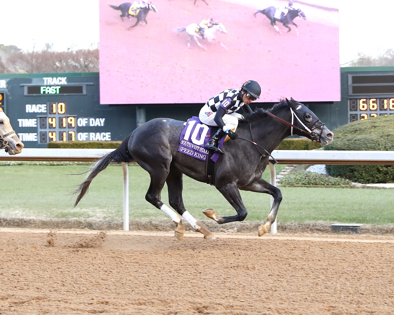 Speed King wins the Southwest S. (G2) at Oaklawn on the Road to the Kentucky Derby.