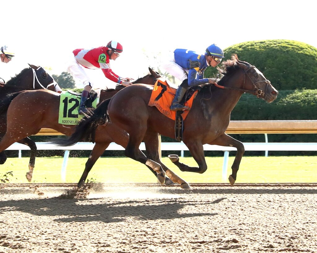 #7 David of Athens gains the edge over #12 Camp Hale at Keeneland.