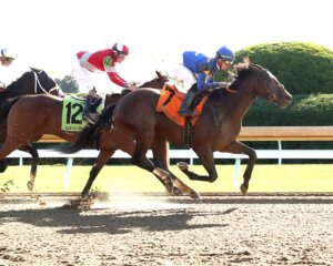 #7 David of Athens gains the edge over #12 Camp Hale at Keeneland. 