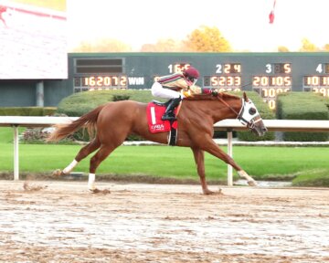 American Promise wins at Churchill Downs.