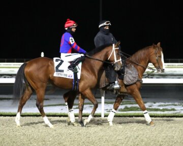 Baby Max wins the Leonatus Stakes at Turfway Park.