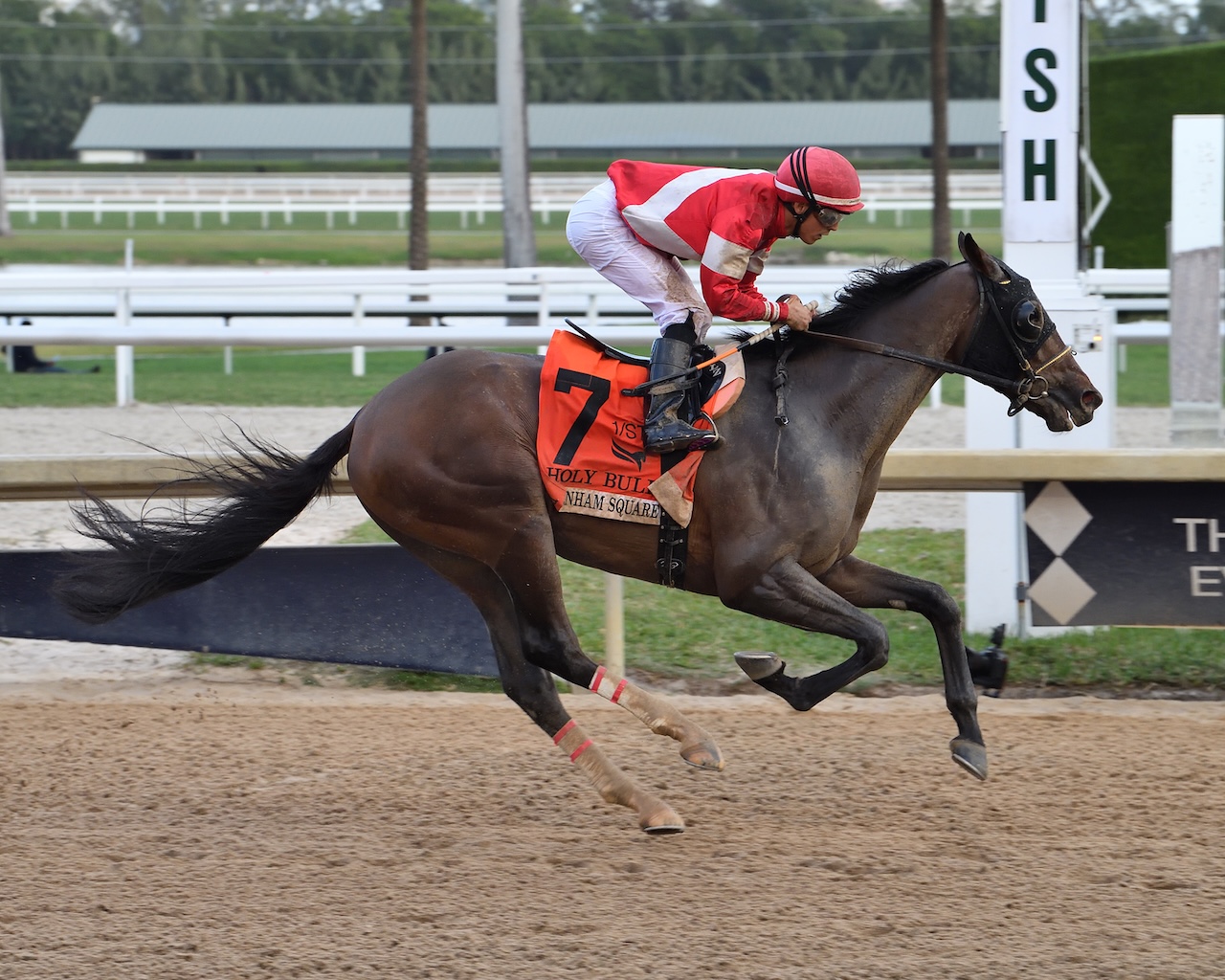 Burnham Square wins the Holy Bull at Gulfstream Park.