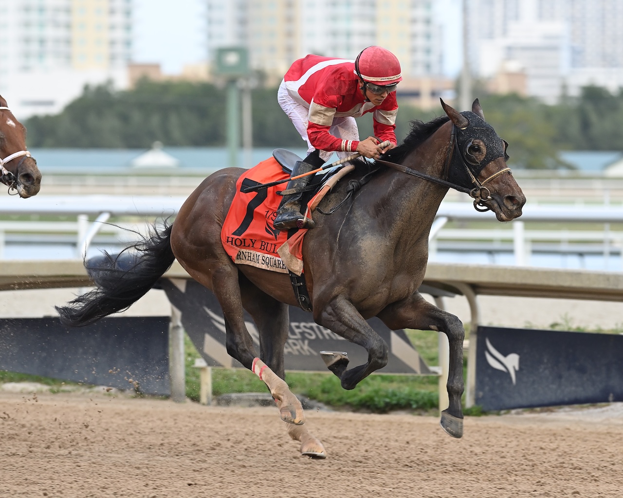 Burnham Square wins the Holy Bull at Gulfstream Park.