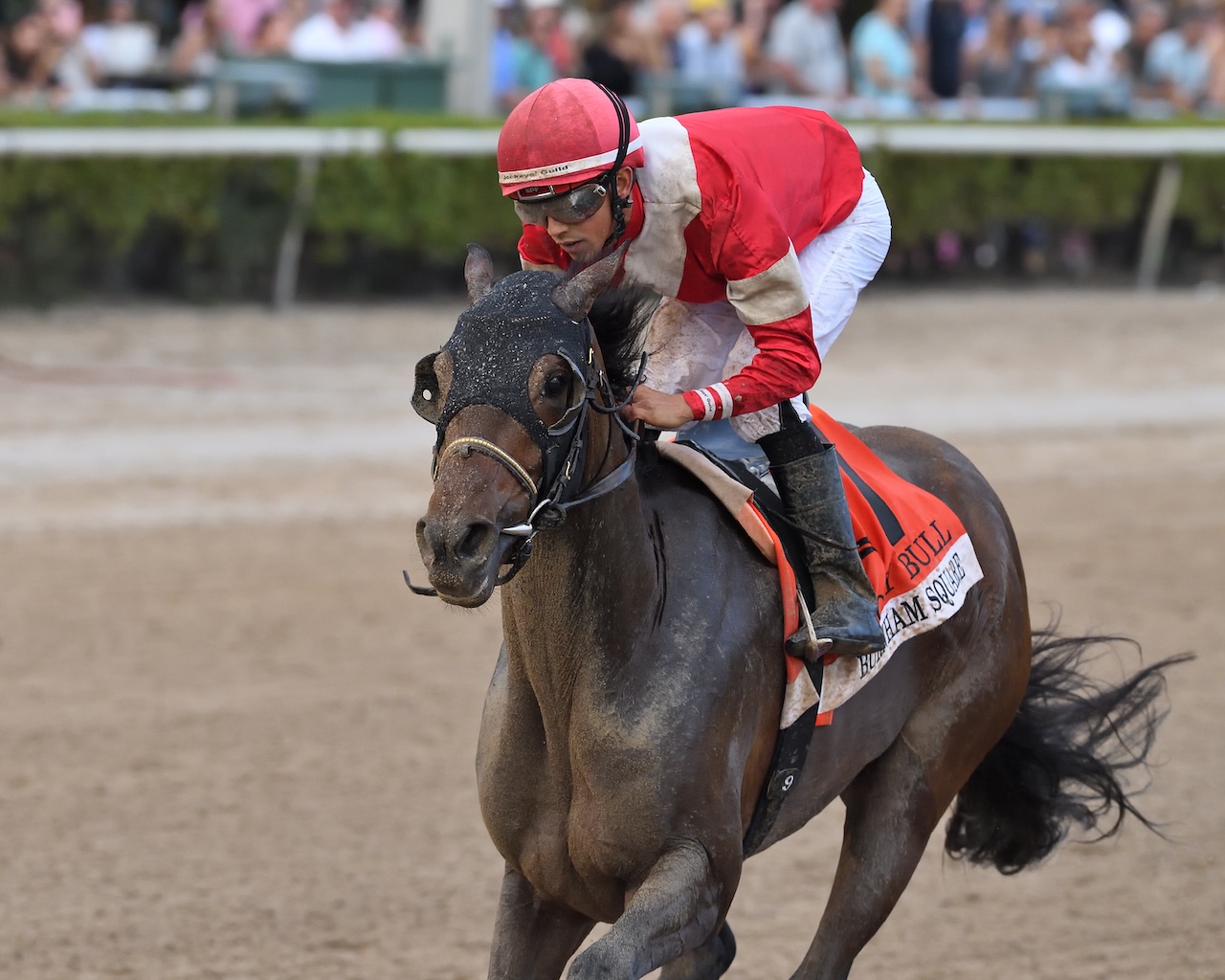 Burnham Square wins the Holy Bull at Gulfstream Park.