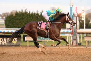 Calling Card wins at Aqueduct.