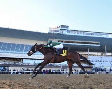 Captain Cook wins the Withers at Aqueduct.