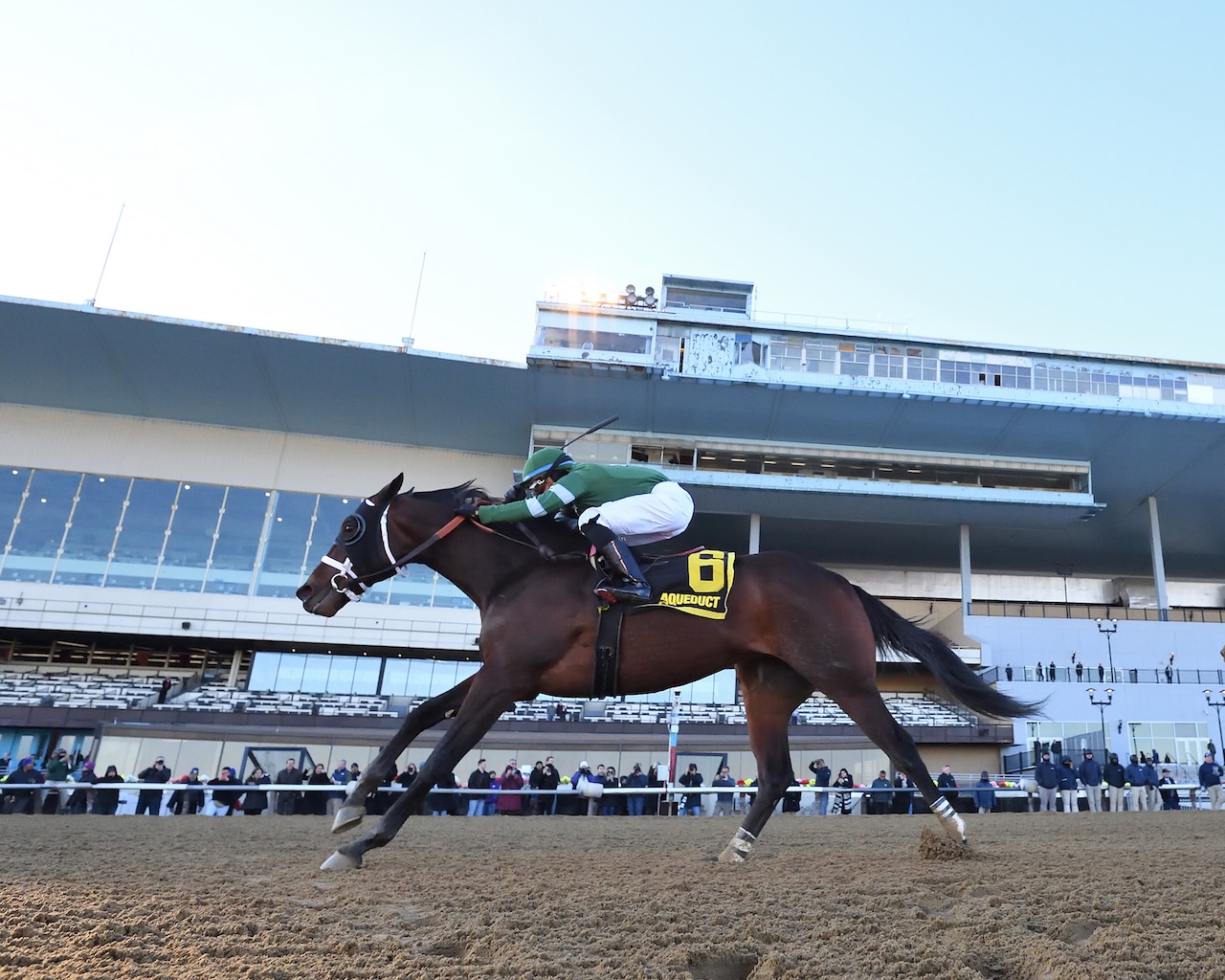 Captain Cook wins the Withers at Aqueduct.