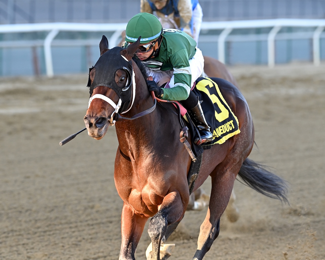 Captain Cook wins the Withers at Aqueduct.