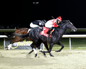 Chunk of Gold wins at Turfway Park. 