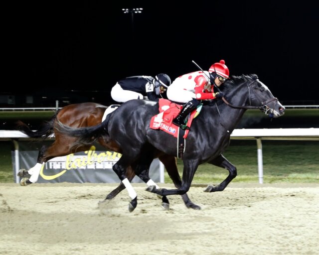 Chunk of Gold wins at Turfway Park.