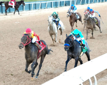 Coal Battle outstays Madaket Road in the Rebel