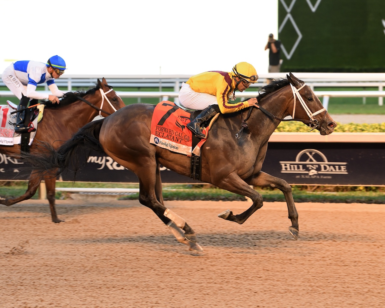 Eclatant wins the Forward Gal at Gulfstream Park.