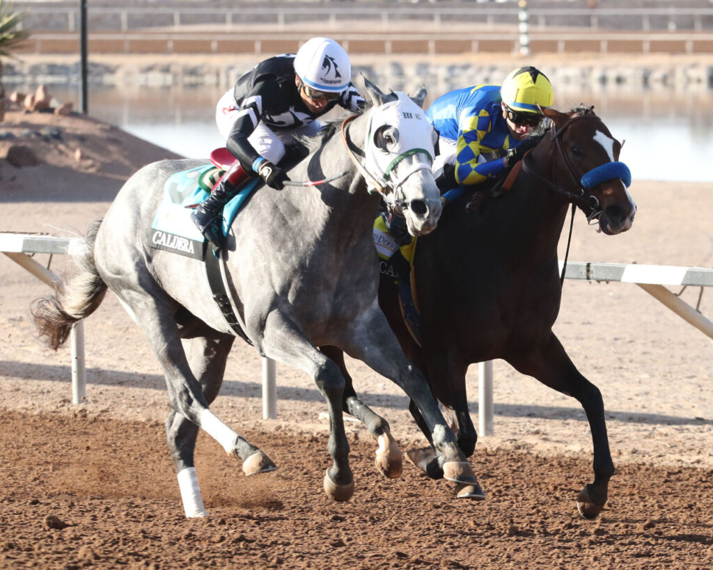 Getaway Car and Caldera dueled to the wire in the Sunland Park Derby