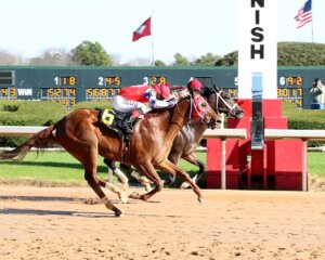 Innovator wins at Oaklawn Park.