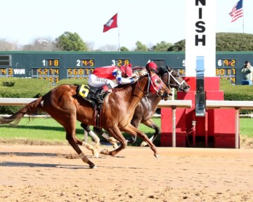 Innovator wins at Oaklawn Park.