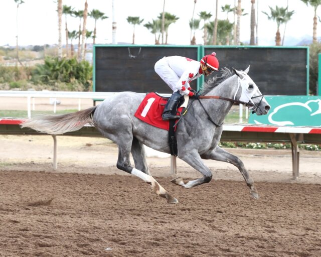 Itsmybirthday wins at Turf Paradise.