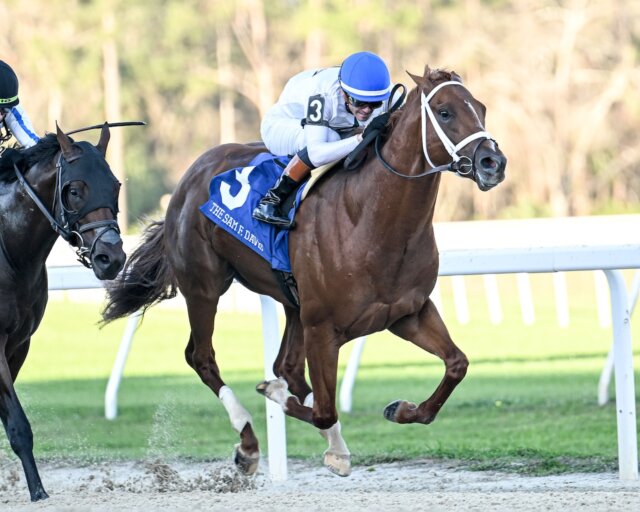 John Hancock wins the Sam F. Davis at Tampa Bay Downs.