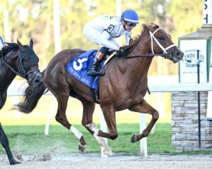 John Hancock wins the Sam F. Davis at Tampa Bay Downs.