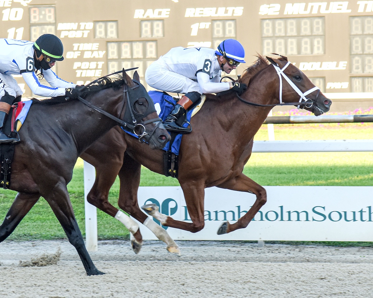 John Hancock wins the Sam F. Davis at Tampa Bay Downs.