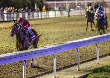 Magnitude wins the Risen Star at Fair Grounds.